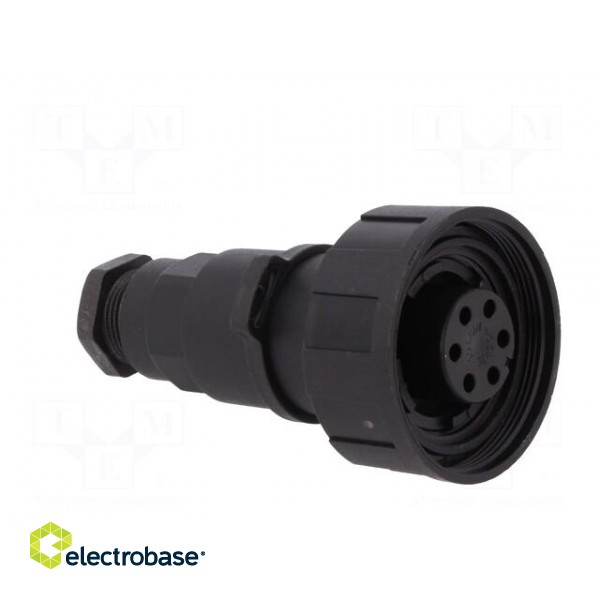 Connector: circular | plug | female | PIN: 6 | Standard Buccaneer® image 8