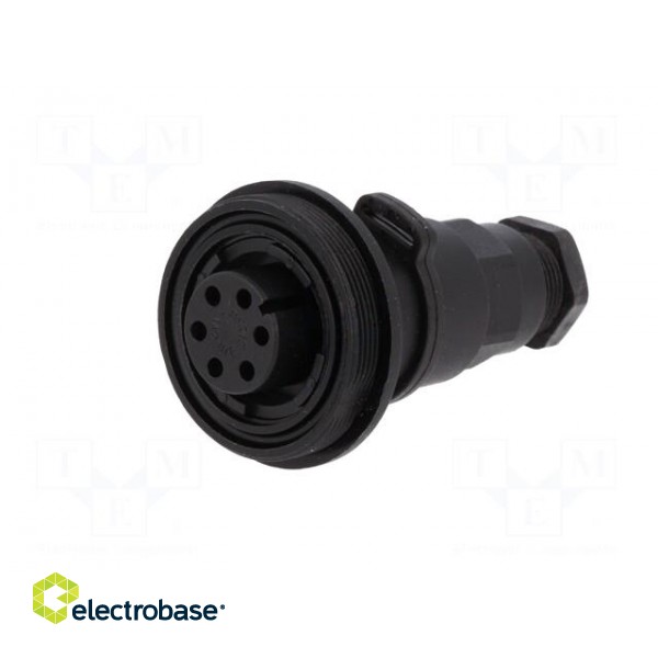 Connector: circular | plug | female | PIN: 6 | Standard Buccaneer® image 2