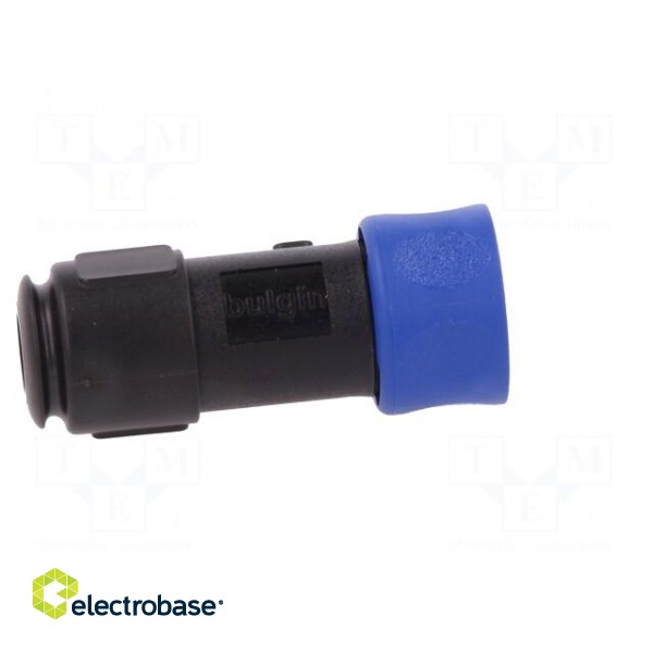 Connector: circular | plug | female | PIN: 6 | w/o contacts | for cable image 7