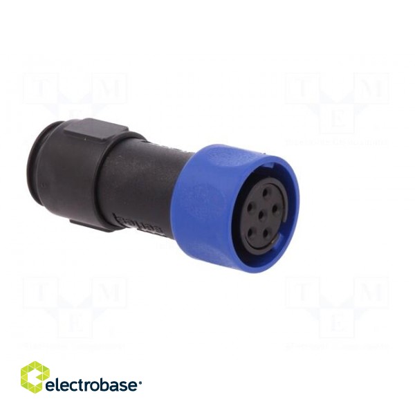 Connector: circular | plug | female | PIN: 6 | w/o contacts | for cable image 8