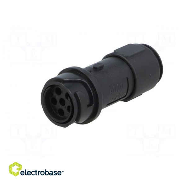 Connector: circular | plug | female | PIN: 6 | w/o contacts | for cable image 2