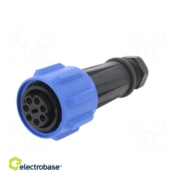 Connector: circular | plug | female | PIN: 7 | Buccaneer 900 | for cable фото 1