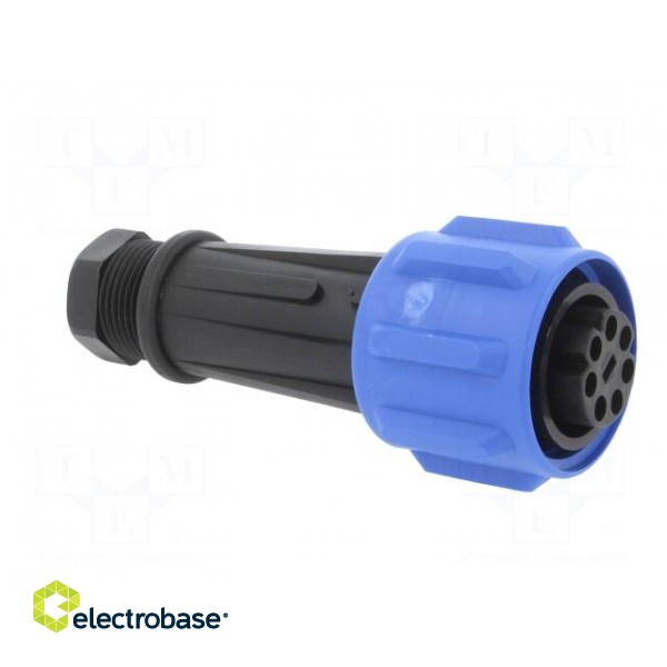 Connector: circular | plug | female | PIN: 7 | Buccaneer 900 | for cable image 8