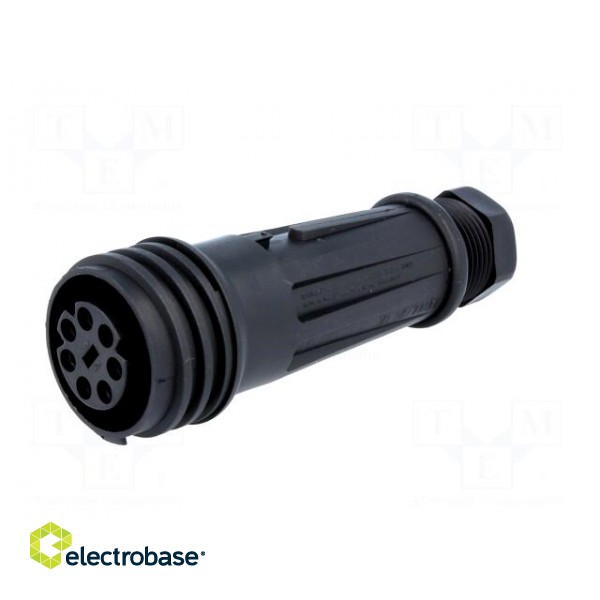Connector: circular | plug | female | PIN: 7 | Buccaneer 900 | for cable image 2