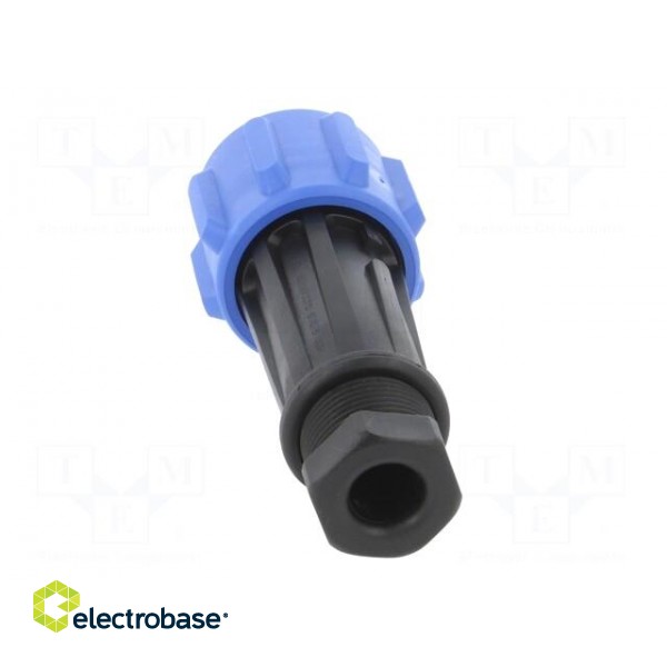 Connector: circular | plug | female | PIN: 7 | Buccaneer 900 | for cable image 5