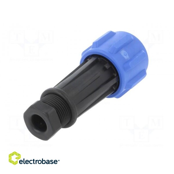 Connector: circular | plug | female | PIN: 7 | Buccaneer 900 | for cable image 6