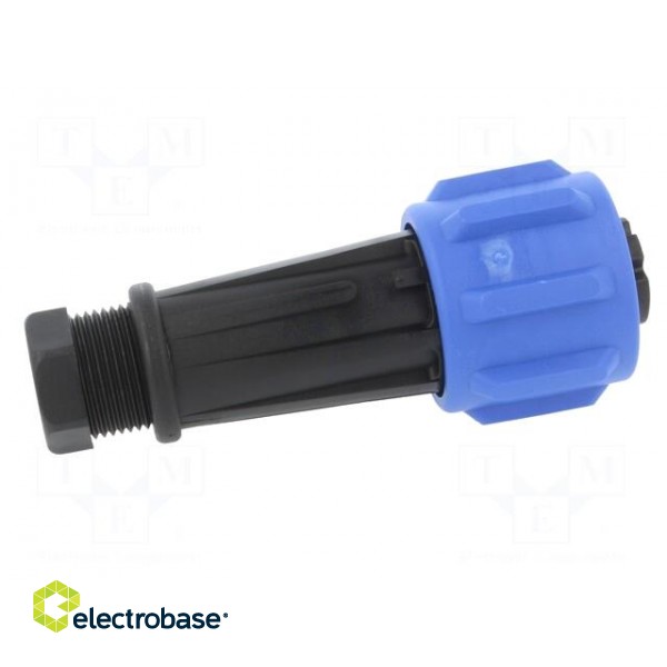 Connector: circular | plug | female | PIN: 7 | Buccaneer 900 | for cable image 7