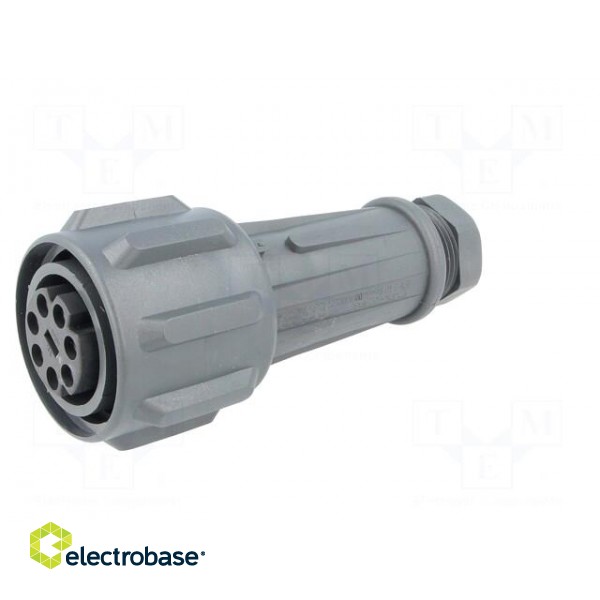 Connector: circular | plug | female | PIN: 7 | EXPlora | Contacts: brass image 2