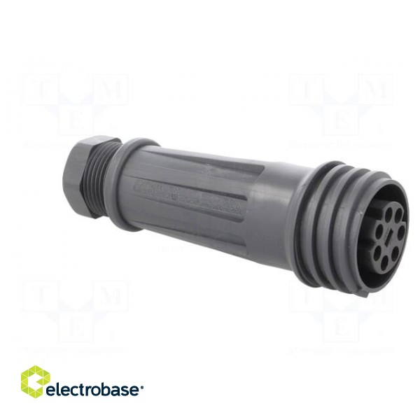 Connector: circular | plug | female | PIN: 7 | EXPlora | Contacts: brass image 8