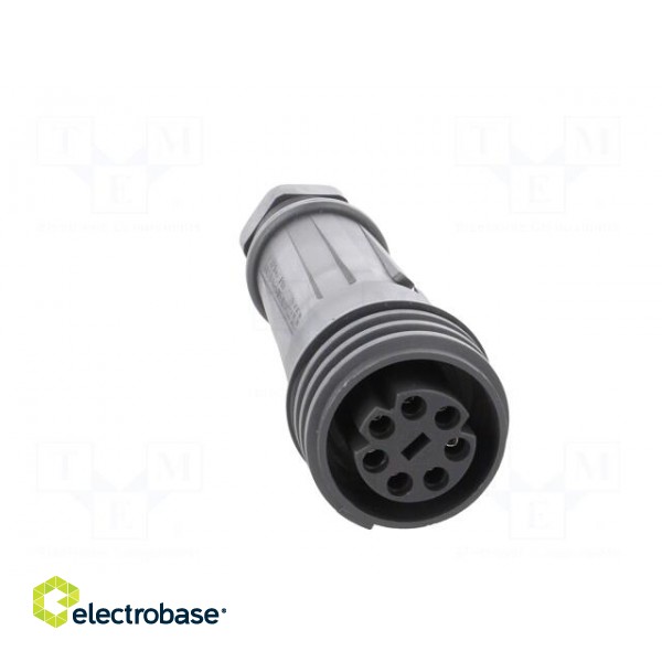 Connector: circular | plug | female | PIN: 7 | EXPlora | Contacts: brass image 9
