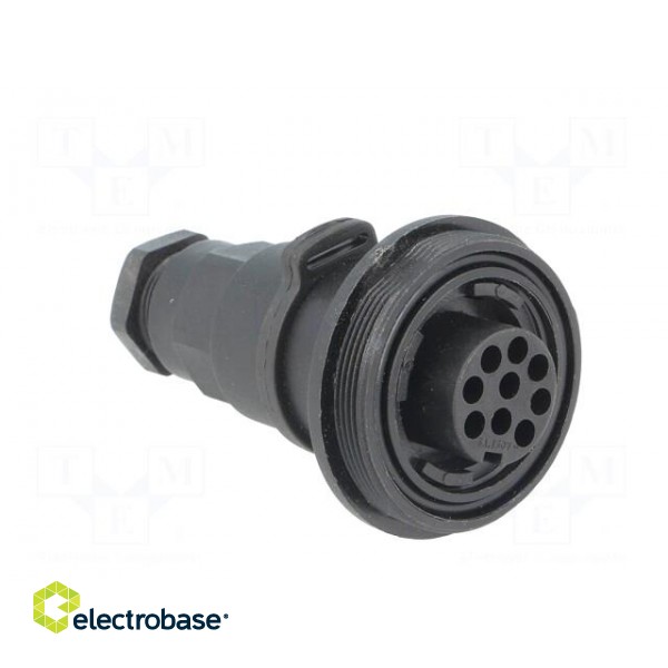 Connector: circular | plug | female | PIN: 9 | Buccaneer Standard | IP68 image 8