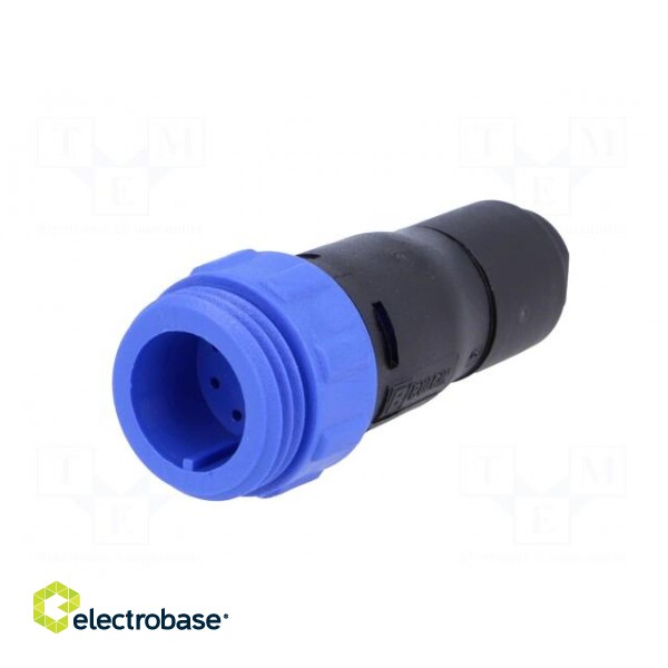 Connector: circular | plug | male | PIN: 10 | w/o contacts | for cable paveikslėlis 2
