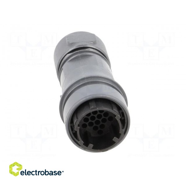 Connector: circular | plug | male | PIN: 22 | w/o contacts | for cable image 9