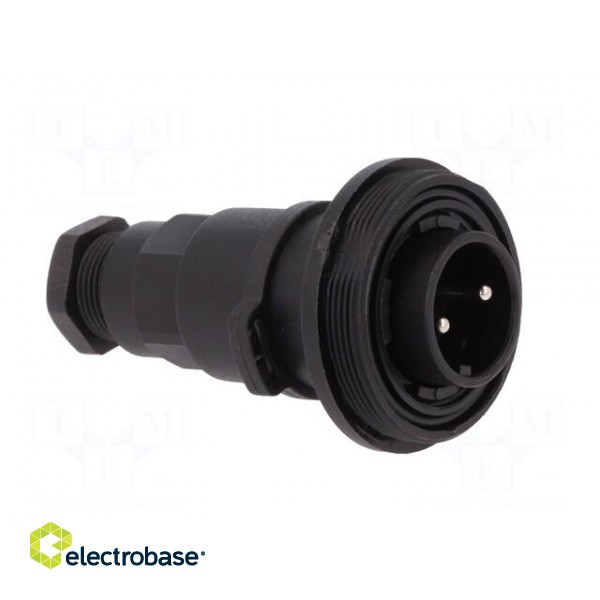 Connector: circular | plug | male | PIN: 2 | Buccaneer Standard | IP68 image 8
