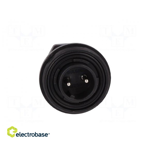 Connector: circular | plug | male | PIN: 2 | Buccaneer Standard | IP68 image 9