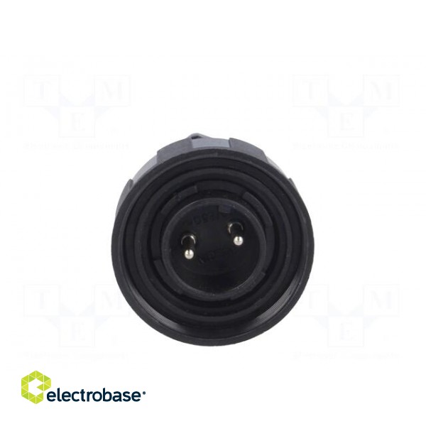 Connector: circular | plug | male | PIN: 2 | Standard Buccaneer® | IP68 image 9