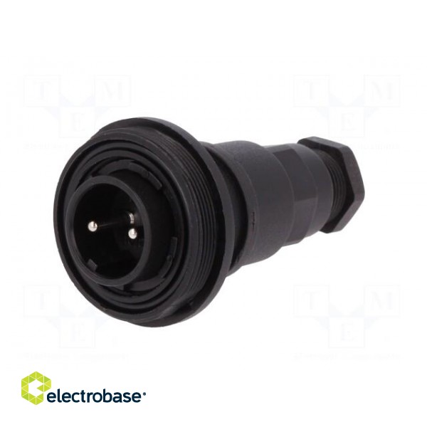 Connector: circular | plug | male | PIN: 2 | Buccaneer Standard | IP68 image 2