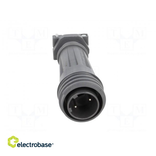Connector: circular | plug | male | PIN: 2 | EXPlora | Contacts: brass image 9