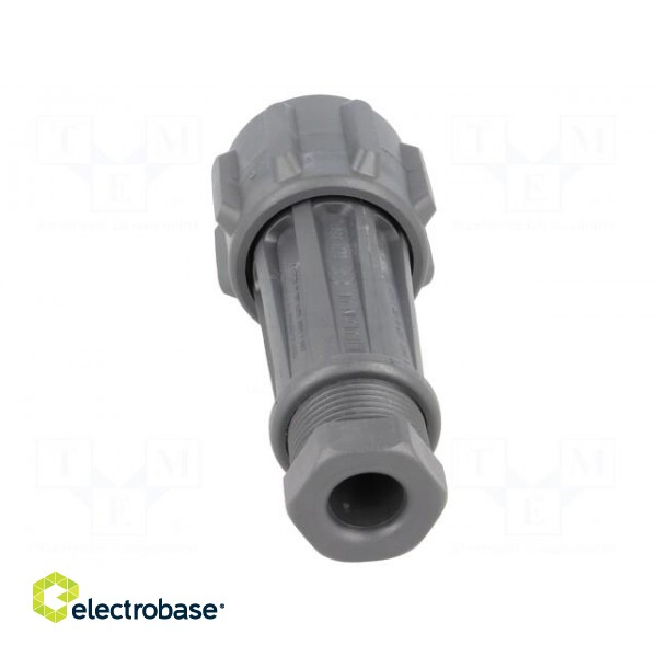 Connector: circular | plug | male | PIN: 2 | EXPlora | Contacts: brass image 5