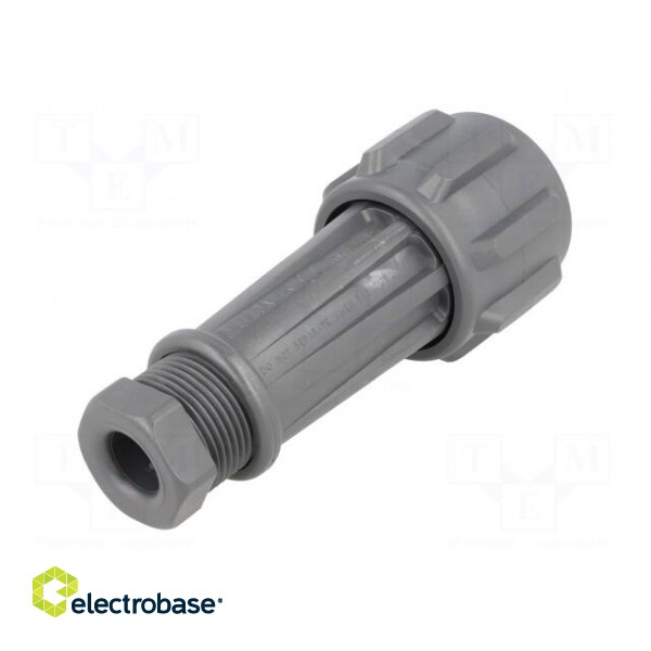 Connector: circular | plug | male | PIN: 2 | EXPlora | Contacts: brass image 6