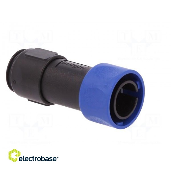 Connector: circular | plug | male | PIN: 2 | w/o contacts | for cable image 8