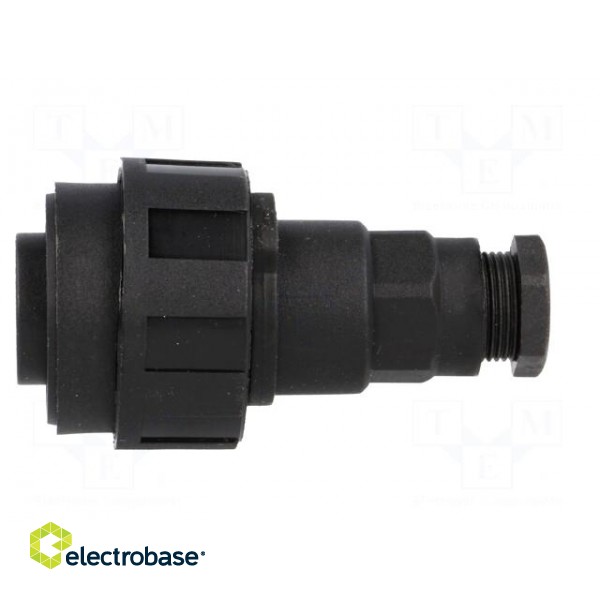 Connector: circular | plug | male | PIN: 3 | Standard Buccaneer® | IP68 image 3