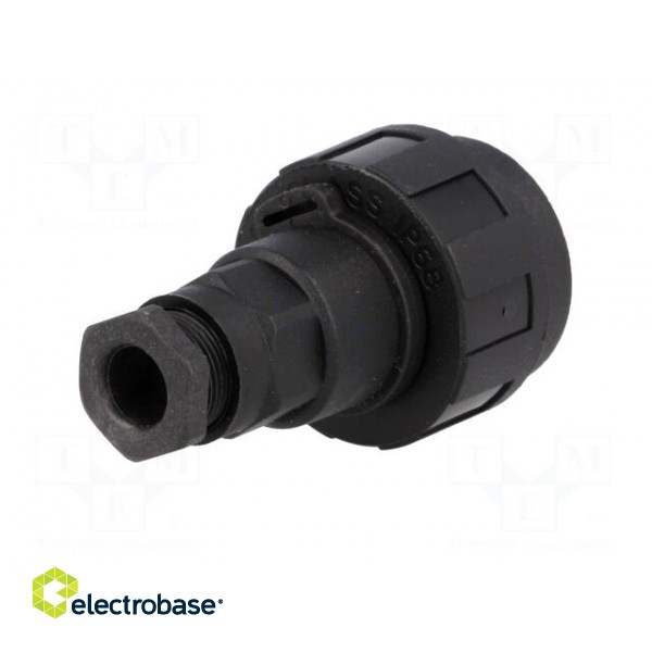 Connector: circular | plug | male | PIN: 3 | Standard Buccaneer® | IP68 image 6