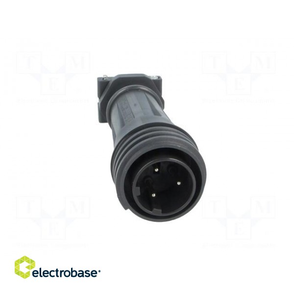 Connector: circular | plug | male | PIN: 3 | EXPlora | Contacts: brass image 9
