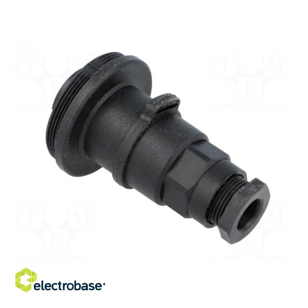 Connector: circular | plug | male | PIN: 4 | Buccaneer Standard | IP68 image 4