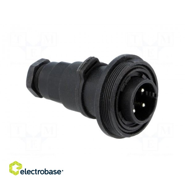 Connector: circular | plug | male | PIN: 4 | Buccaneer Standard | IP68 image 8