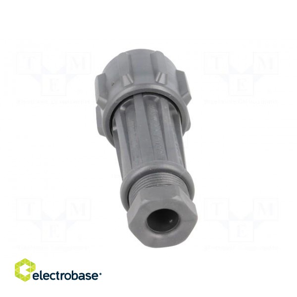 Connector: circular | plug | male | PIN: 4 | EXPlora | Contacts: brass image 5