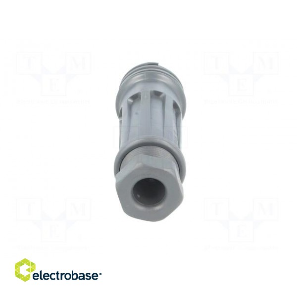 Connector: circular | plug | male | PIN: 5 | EXPlora | Contacts: brass image 2