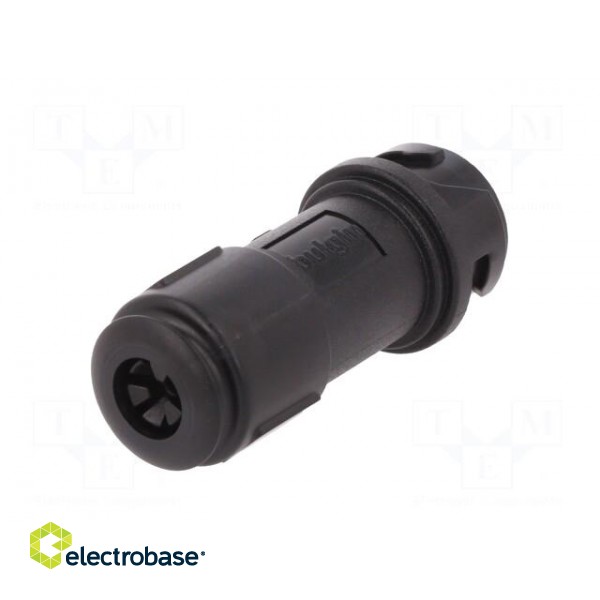 Connector: circular | plug | male | PIN: 6 | w/o contacts | for cable image 6