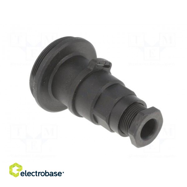 Connector: circular | plug | male | PIN: 7 | Standard Buccaneer® | IP68 image 4