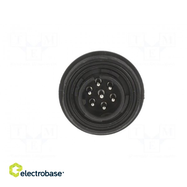 Connector: circular | plug | male | PIN: 7 | Standard Buccaneer® | IP68 image 9