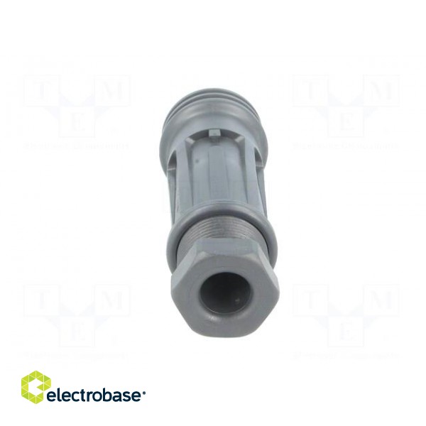 Connector: circular | plug | male | PIN: 7 | EXPlora | Contacts: brass image 5