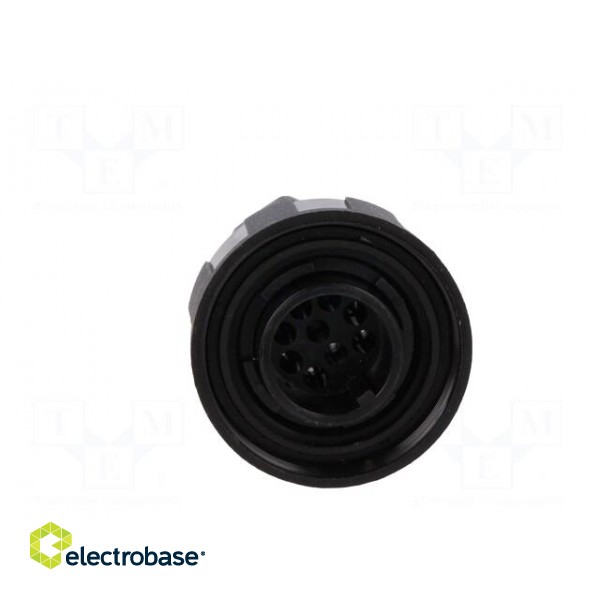 Connector: circular | plug | male | PIN: 9 | Standard Buccaneer® | IP68 image 9