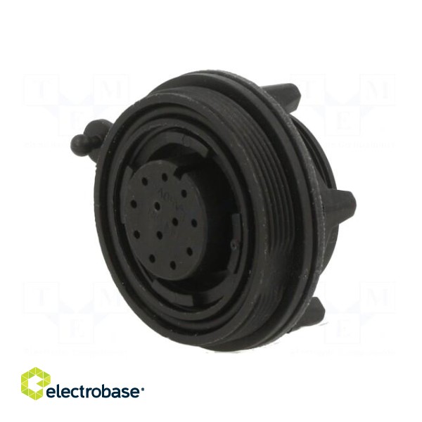 Connector: circular | socket | female | PIN: 12 | w/o contacts | crimped paveikslėlis 2