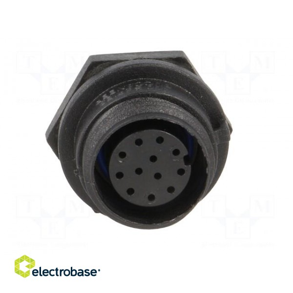 Connector: circular | socket | female | PIN: 12 | w/o contacts | IP68 image 9