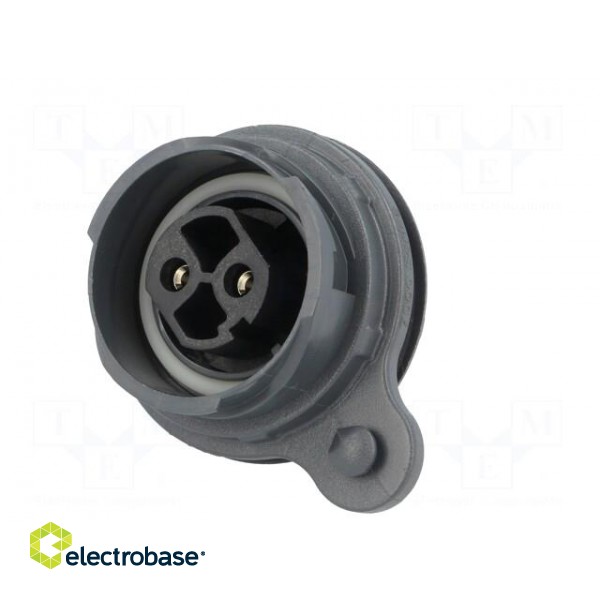 Connector: circular | socket | female | PIN: 2 | Buccaneer 7000 | 25A image 2