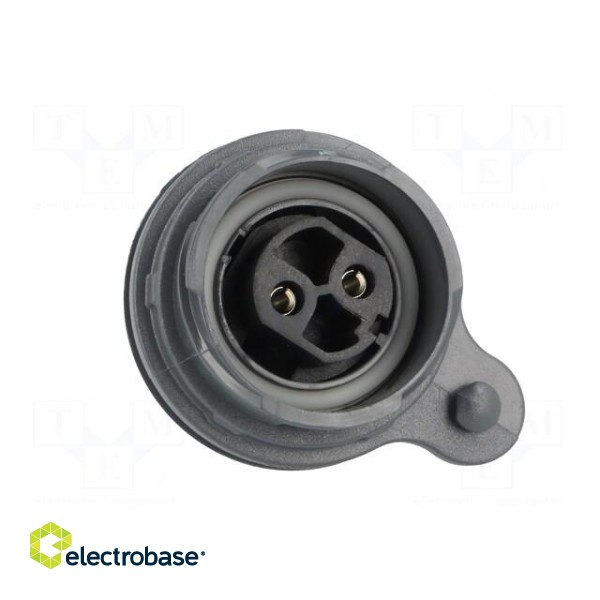 Connector: circular | socket | female | PIN: 2 | Buccaneer 7000 | 25A image 9