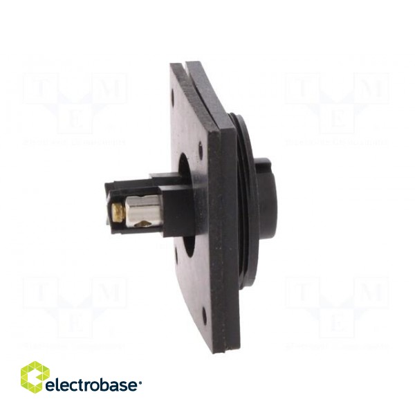 Connector: circular | socket | female | PIN: 2 | Buccaneer Standard image 7