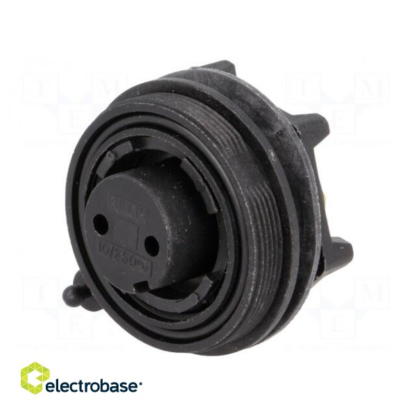 Connector: circular | socket | female | PIN: 2 | Standard Buccaneer® image 1