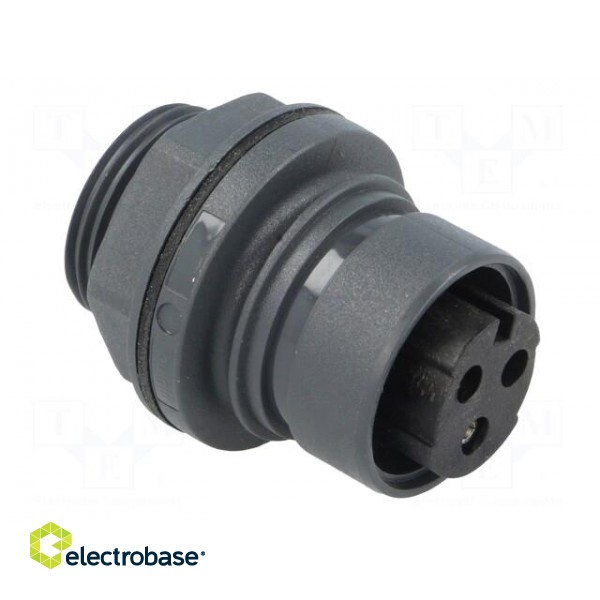 Connector: circular | socket | female | PIN: 3 | Buccaneer 6000 | 12A image 8
