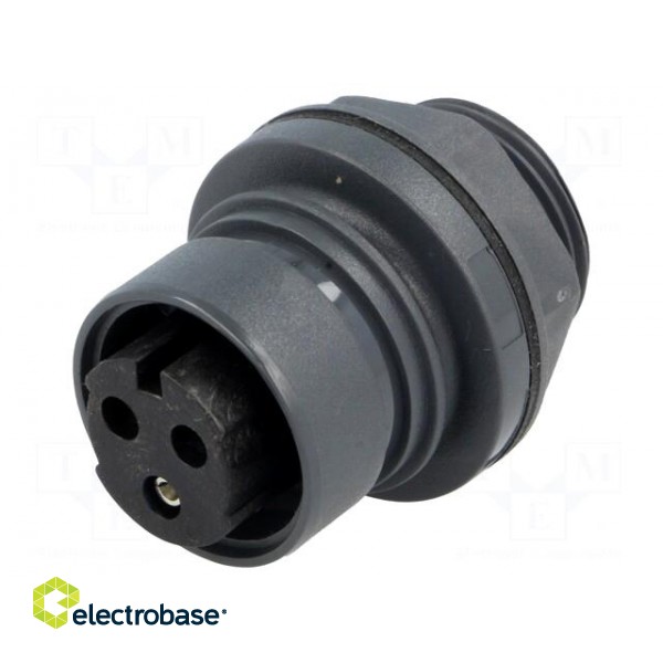 Connector: circular | socket | female | PIN: 3 | Buccaneer 6000 | 12A image 1