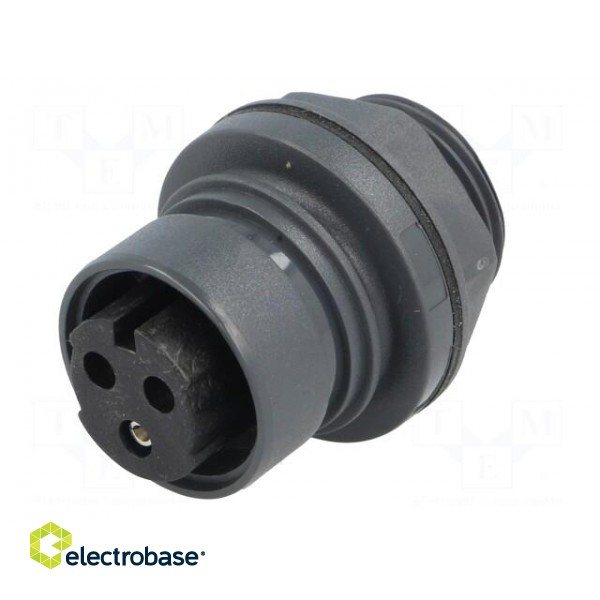 Connector: circular | socket | female | PIN: 3 | Buccaneer 6000 | 12A image 2