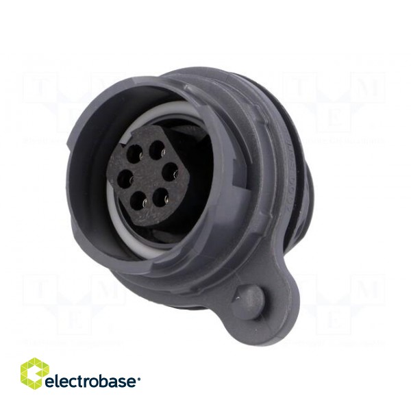 Connector: circular | socket | female | PIN: 6 | Buccaneer 7000 | 10A image 2