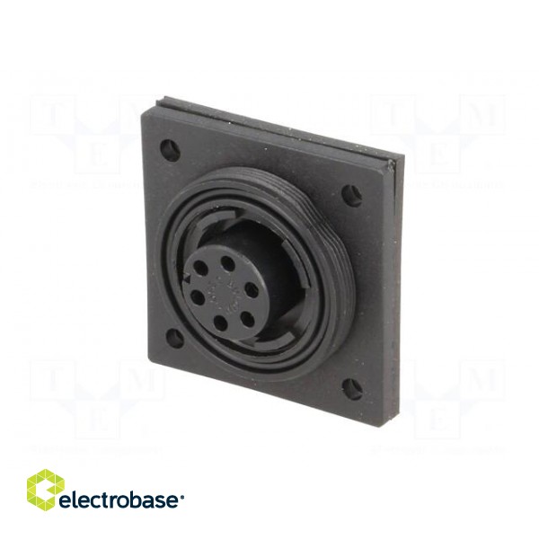 Connector: circular | socket | female | PIN: 6 | Buccaneer Standard image 2