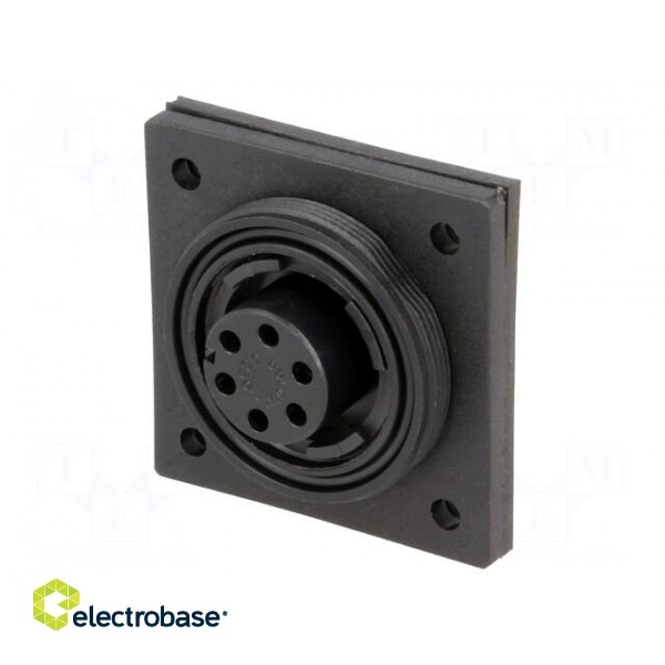 Connector: circular | socket | female | PIN: 6 | Buccaneer Standard paveikslėlis 1