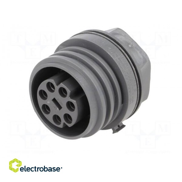 Connector: circular | socket | female | PIN: 7 | EXPlora | nickel plated image 2